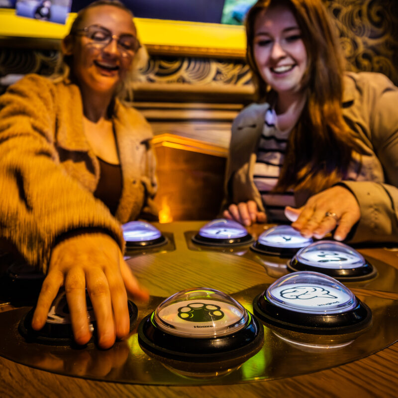 Loch Ness Visitor Centre 40 Copy 800X800 (1)