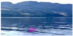 Steves Nessie 1364X679