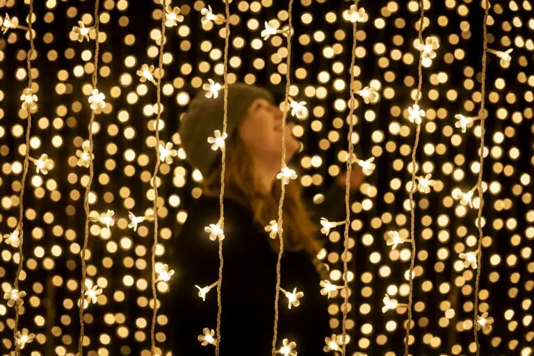 Christmas At The Botanics Credit Visitscotland Kenny Lam Copy 768X512