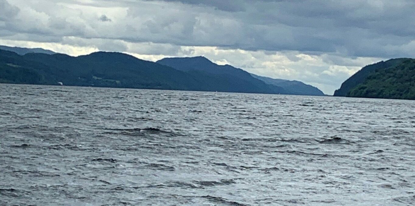 Lilys Image E1703075001999 1364X679