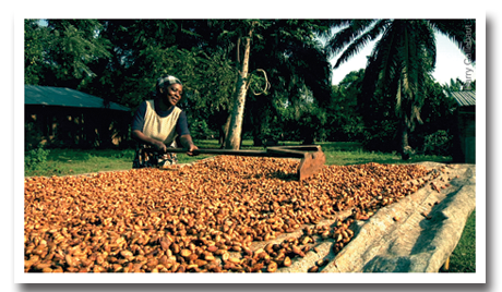 Sustainibility With Drop Sh