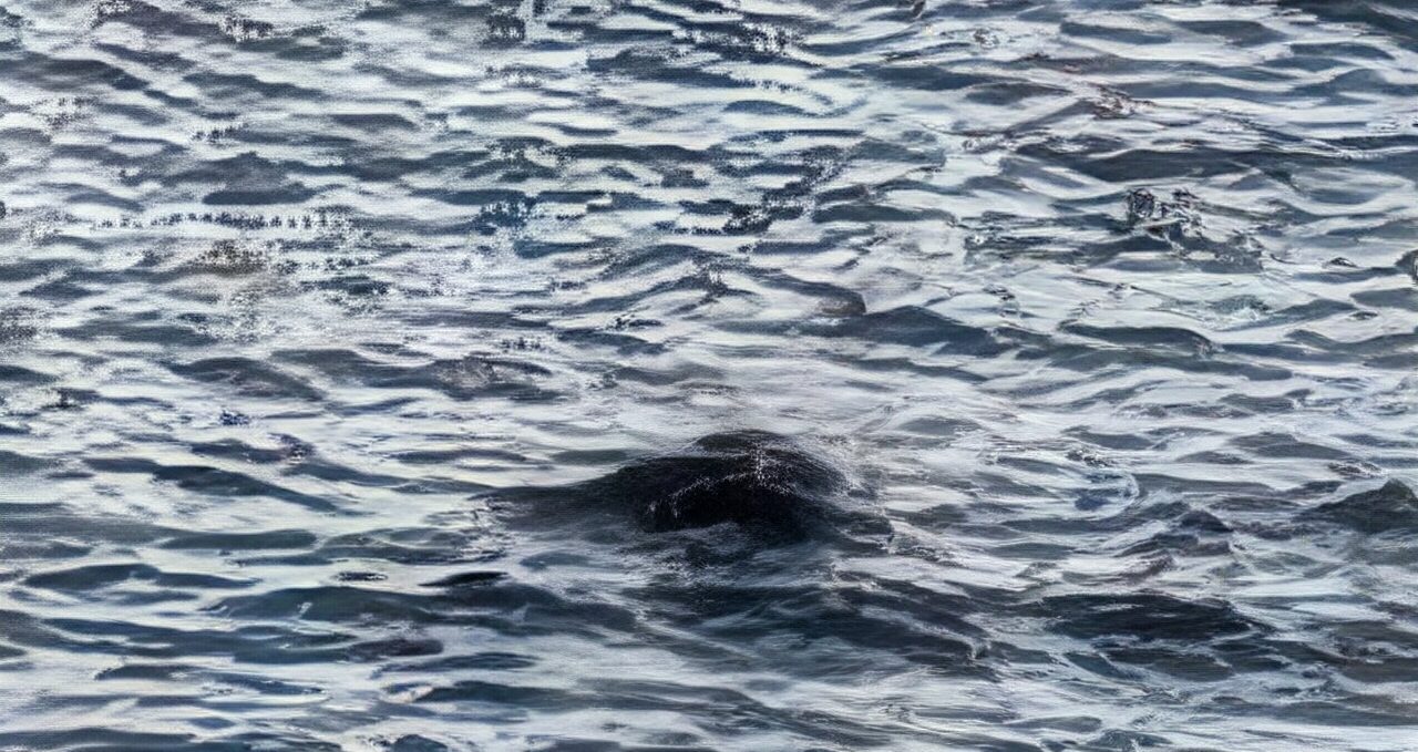 John Observation Image 1 1280X679