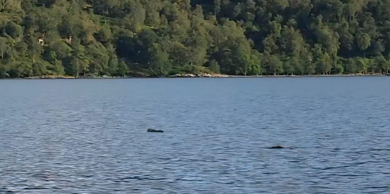 False Alarms Surface Watch 1364X679