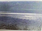 Nessie Image 1