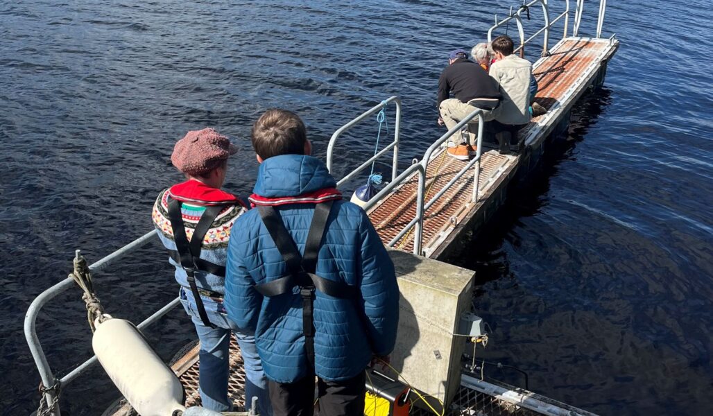 LLBML 1 Small 1028X600