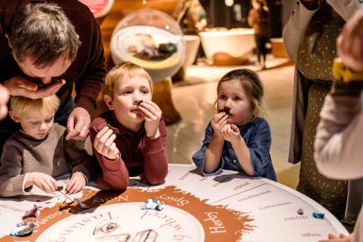 Guests Categorise Chocolate Flavours Resize Large