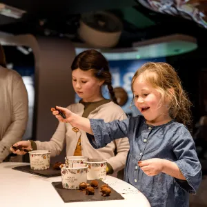 Yorks Chocolate Story High Resolution 122 Square Min Scaled