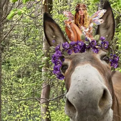 A Midsummer Night Dream 400X400